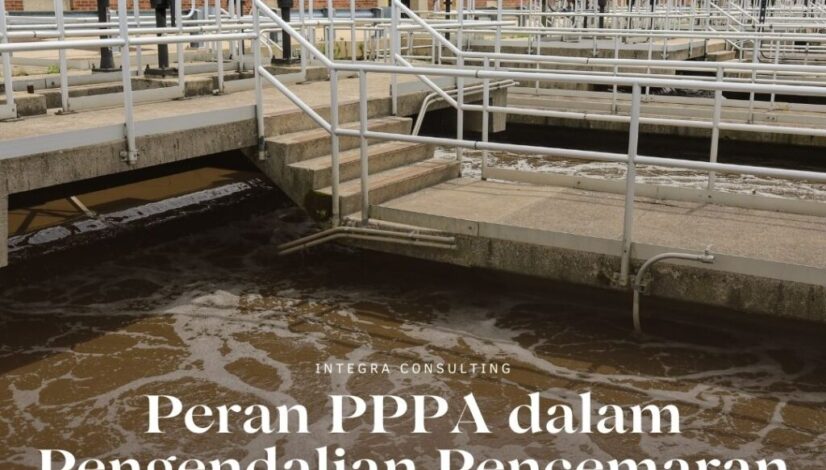 pppa bnsp
